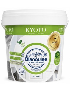 PINTURA DE CAL BLANQUISE GOLD 5kg (Osaka)