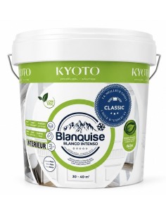 PINTURA DE CAL BLANQUISE CLASSIC 5kg (Osaka)