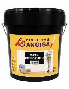 PLÁSTICO HIDRÓFUGO 4lt (Baixens)
