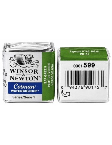 ACUARELA 1/2 GODET VERDE VEJIGA Nº599 W&N COTMAN
